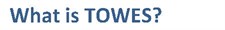 What is TOWES